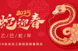辭舊迎新，蛇舞華章丨深圳容金科技全體員工祝您新春快樂！